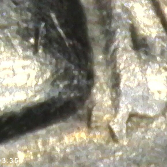 1967 Washington Quarter. - Picture 4 of 16